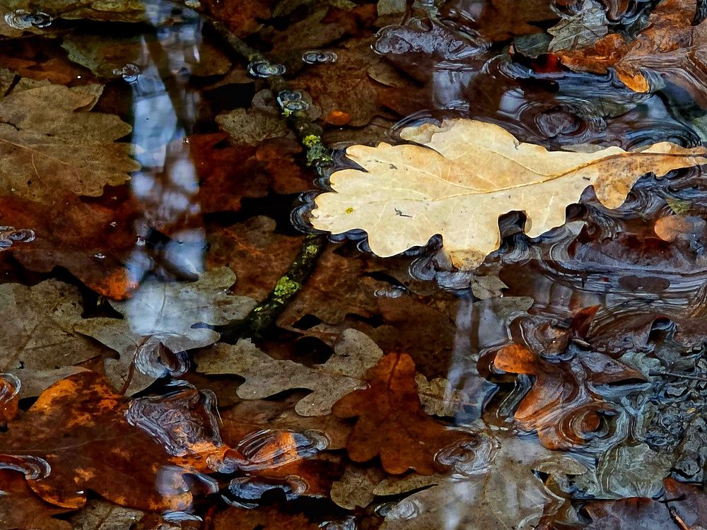 Photograph by Куделенко Оксана