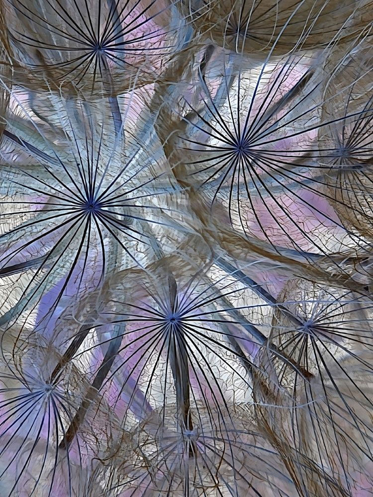 Photograph by Куделенко Оксана