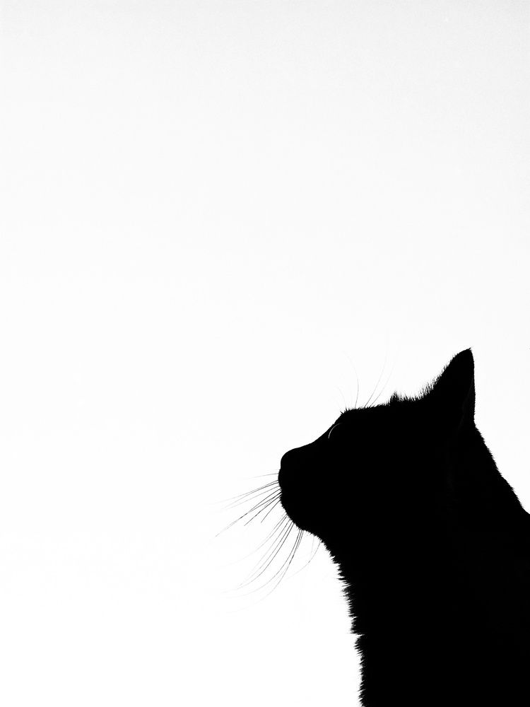 Photograph by Андрей Колесников