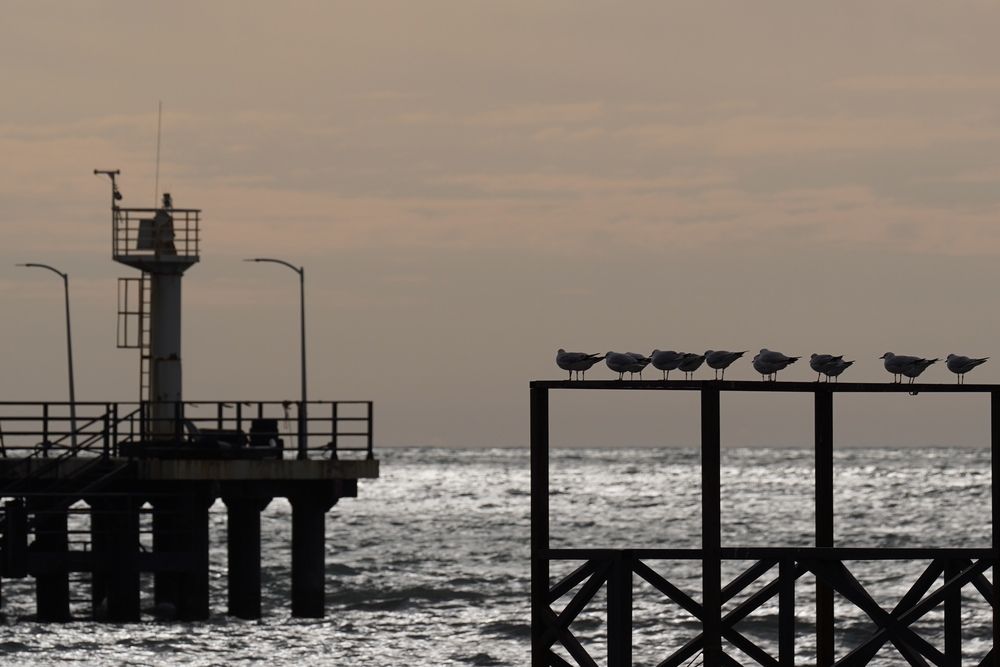 Фотография автора Андрей Груцинов
