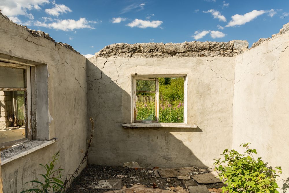 Photograph by Александр Захаров