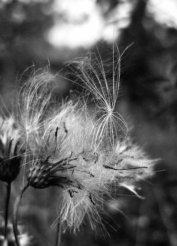 Photograph by Елена Глинская