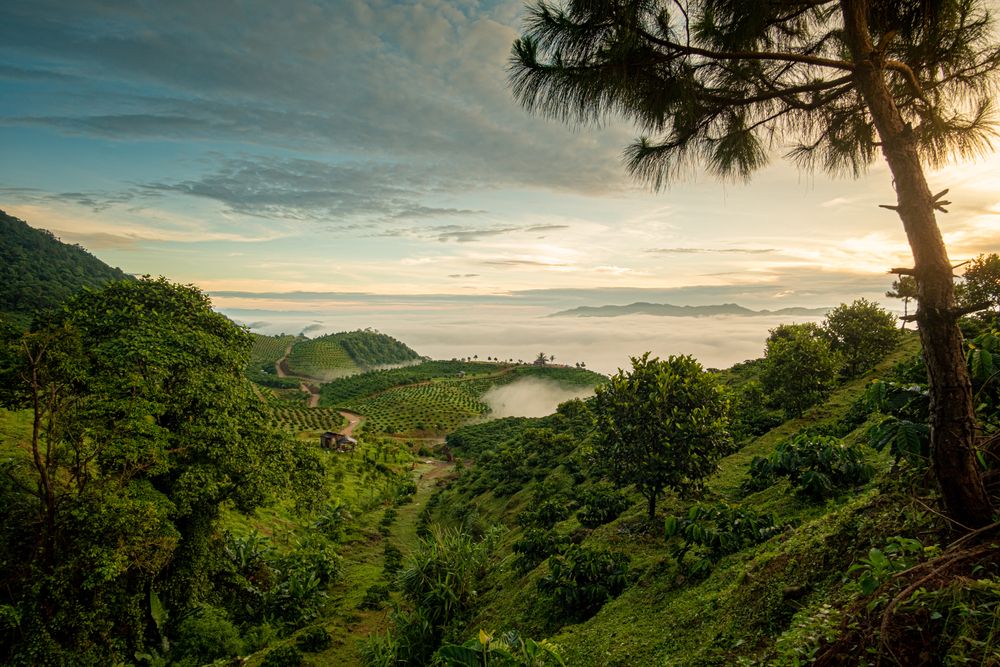 Photograph by Bùi Ngọc Hiếu