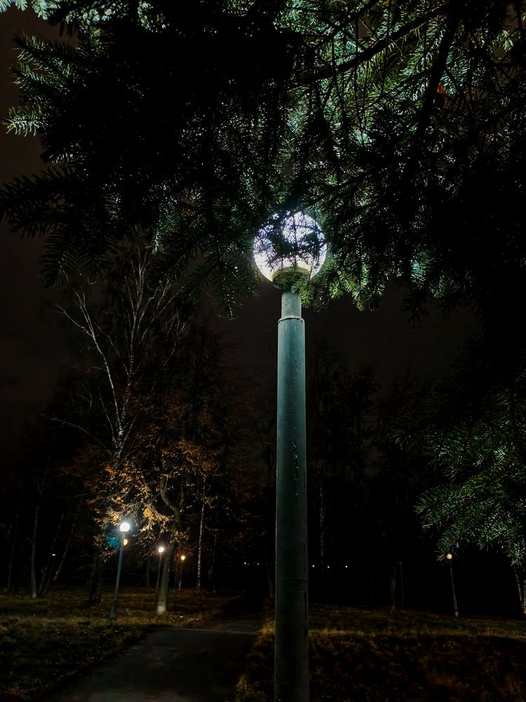 Photograph by Надия Голочалова