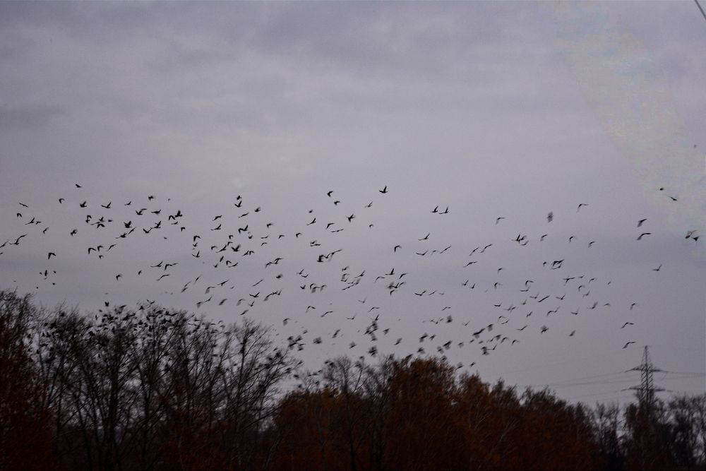 Photograph by Надия Голочалова
