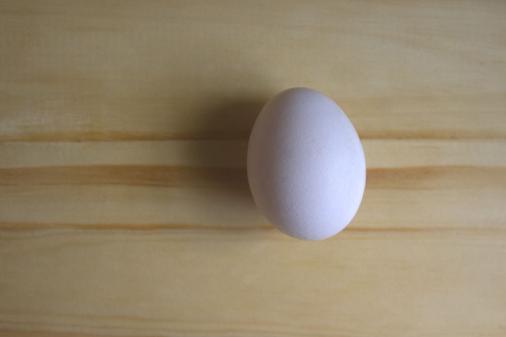 Photograph by Guillermo Topp