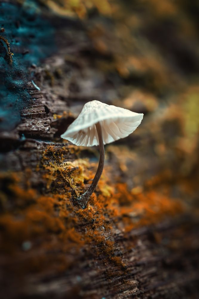 Photograph by Брытков Николай