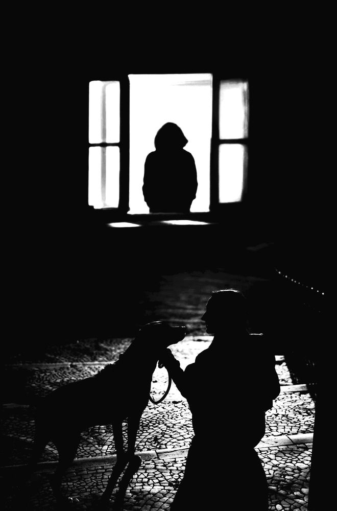 Фотография автора Mahmoudreza Shahbazian