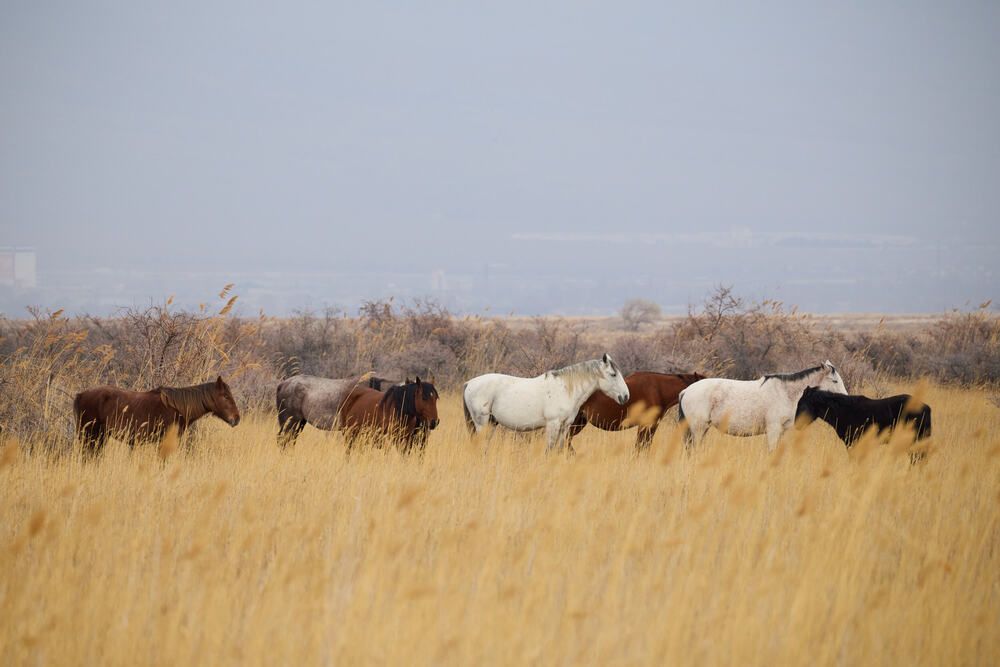 Photograph by Баетов Адыл