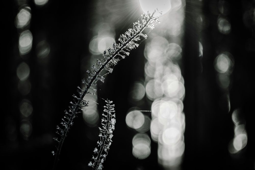 Photograph by Marina Mossiy