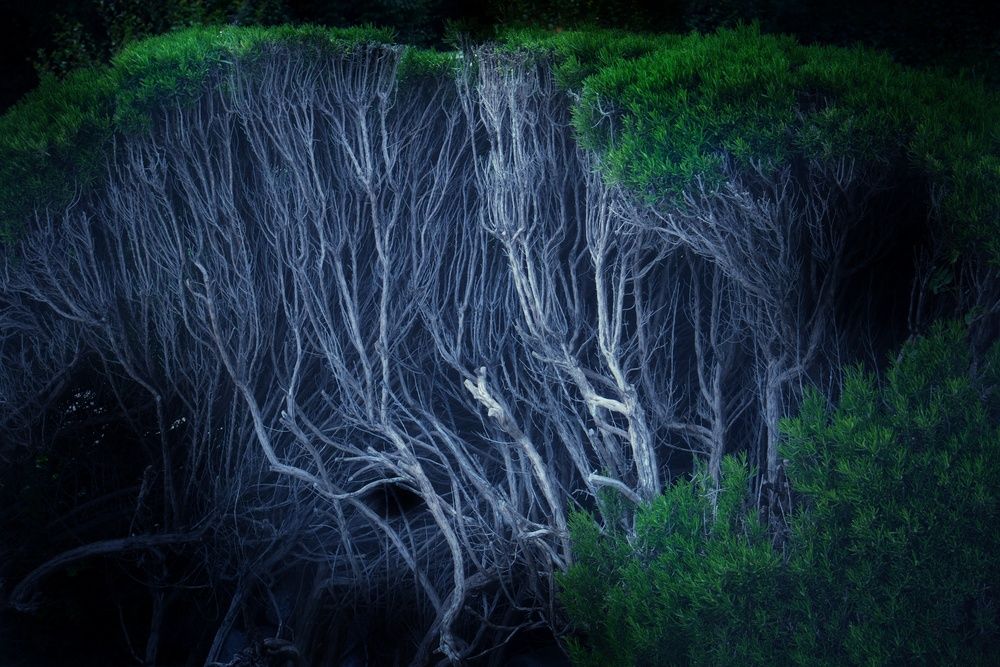 Photograph by Marina Mossiy