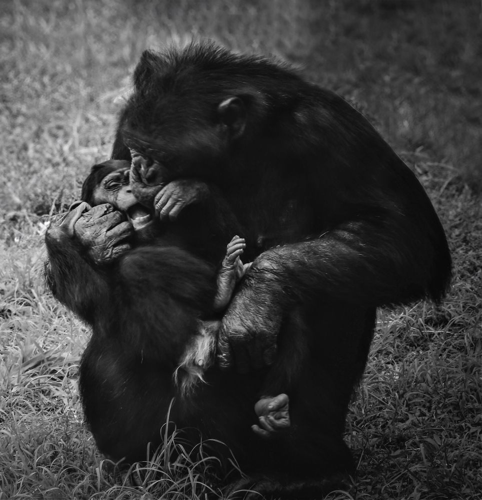 Photograph by Carmem D` Luca