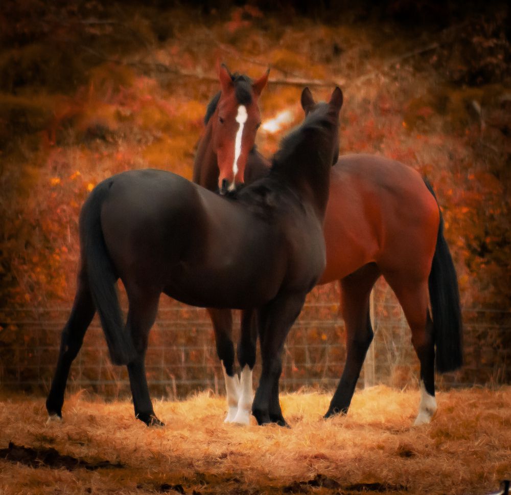 Photograph by Sarah guthrie