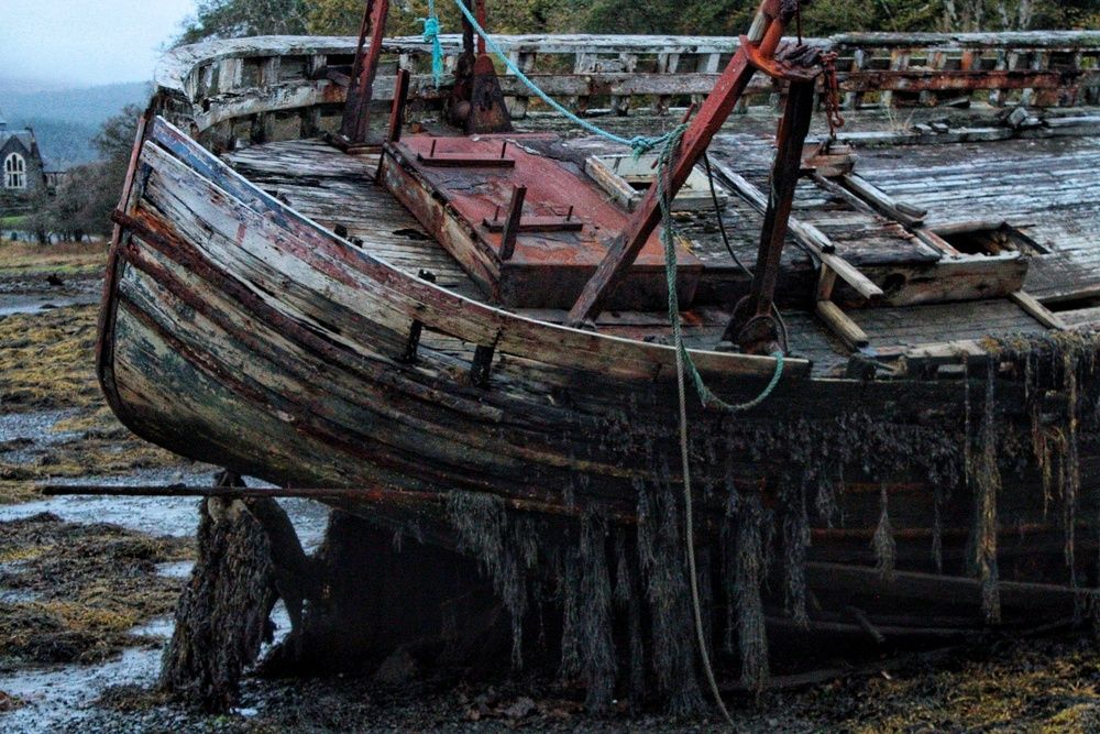 Photograph by Sarah guthrie