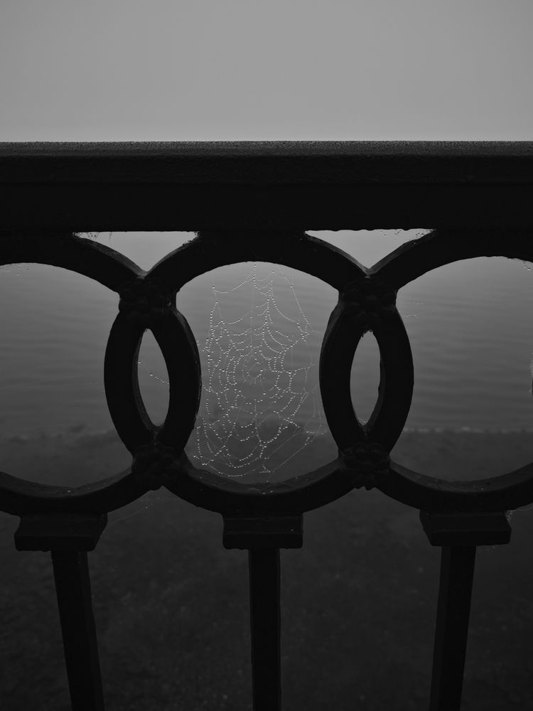 Photograph by Евгений Лямин