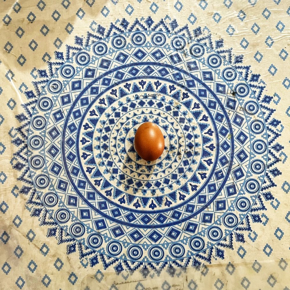 Фотография автора Washiful Majid