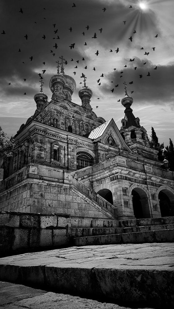 Photograph by Abdallah Khader