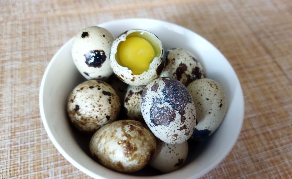 Photograph by Юлия Морозова