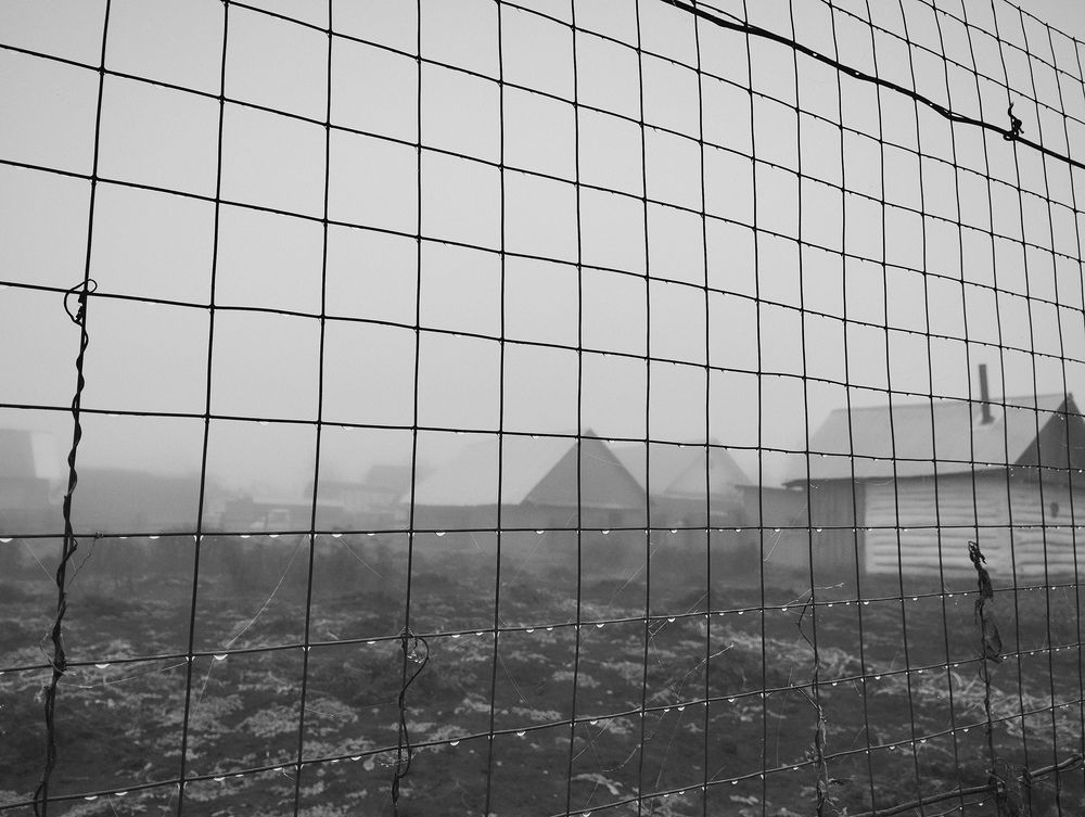 Photograph by Маргарита