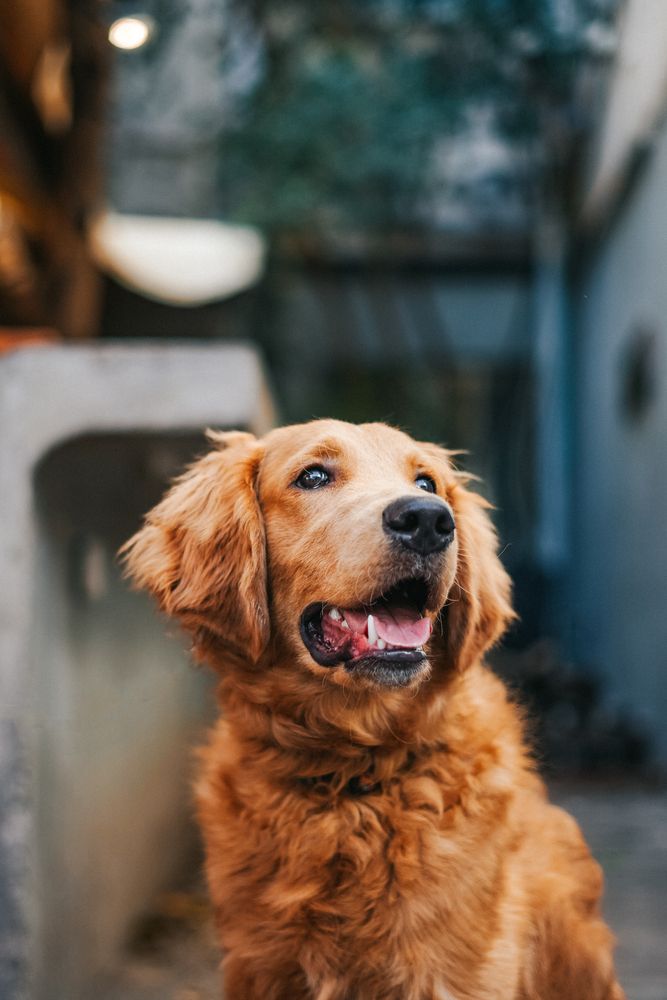 Photograph by Ника Флятау