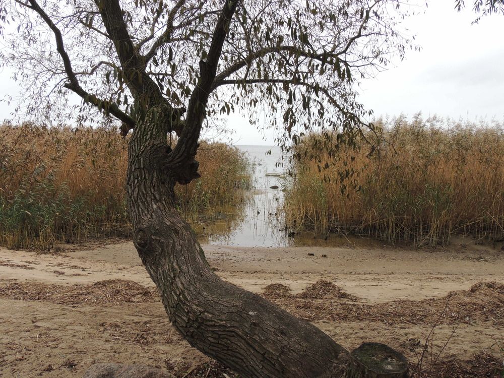 Фотография автора Юрий Сапрыкин