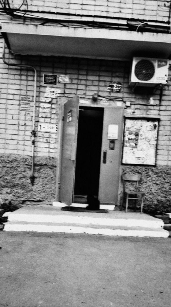 Фотография автора Amalazy Zim