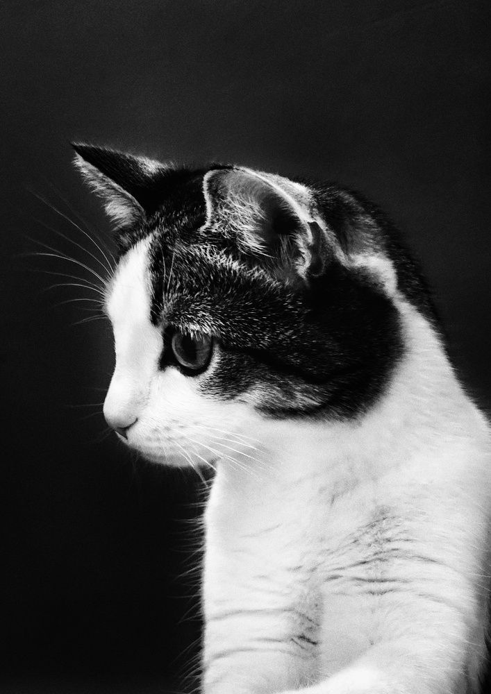 Photograph by Андрей Колесников