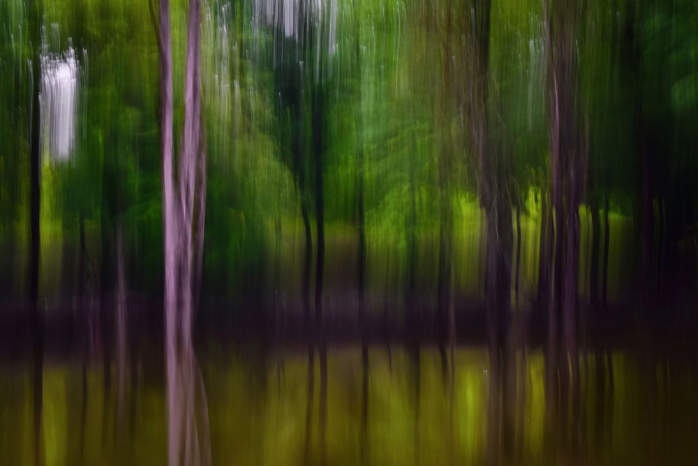 Photograph by pooya farhoodi