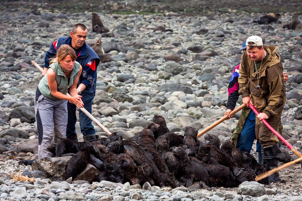Фотография автора Уткин Дмитрий