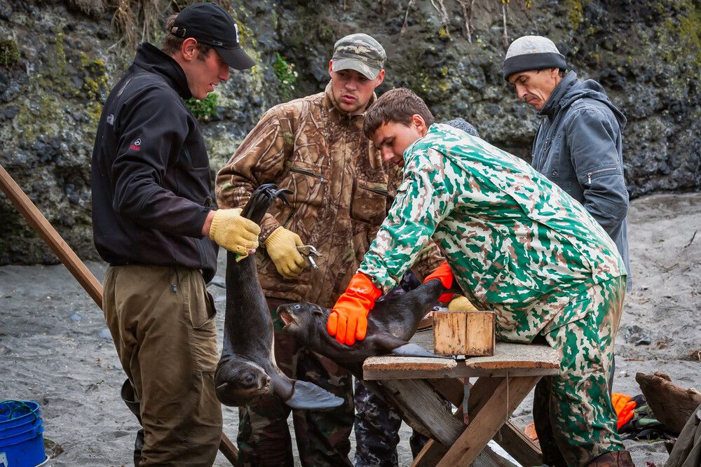Фотография автора Уткин Дмитрий