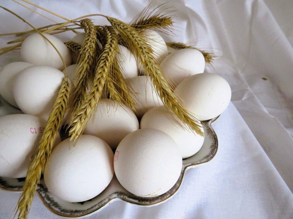 С пшеничными колосками