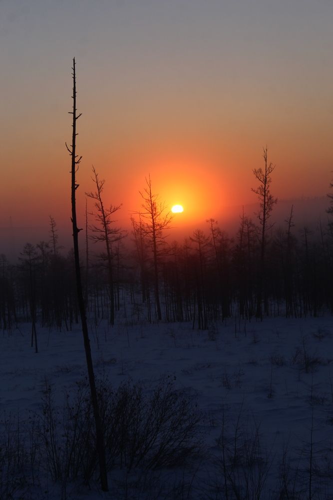 Photograph by Михаил Мархинин