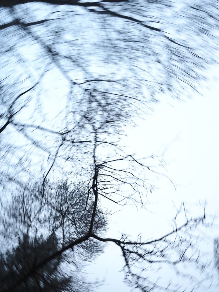 Photograph by Любовь