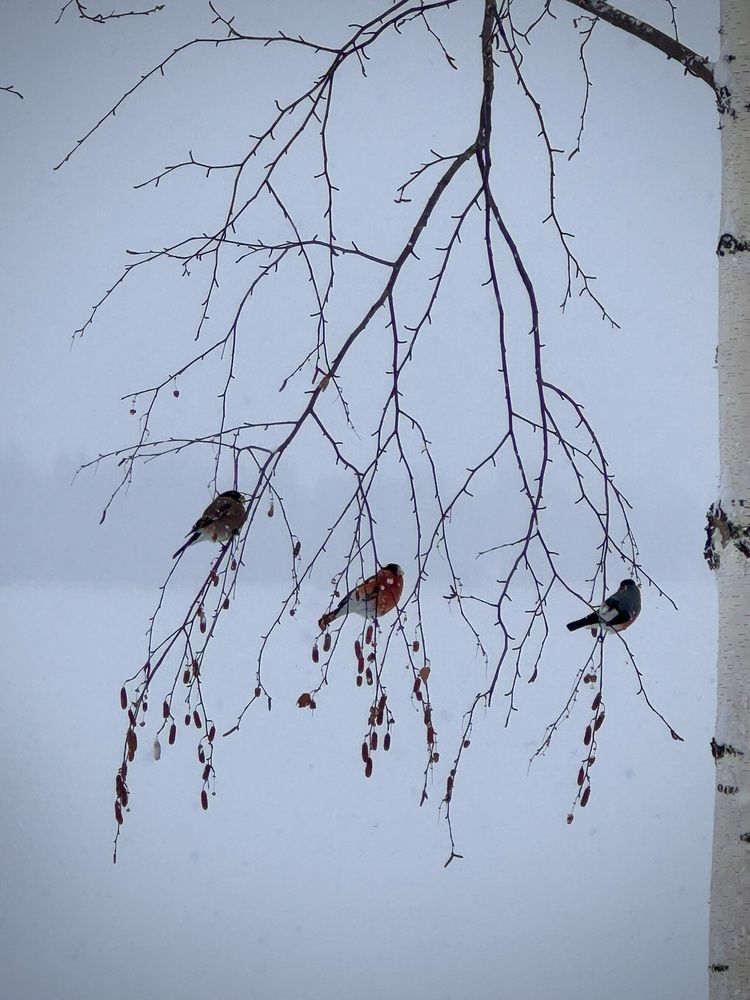 Photograph by Ксения Юртаева