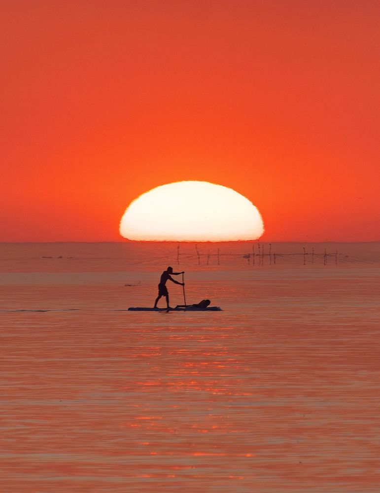 Photograph by Михаил Косолапов