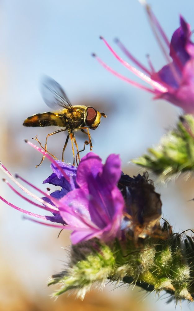 Photograph by Алексей Мартынов