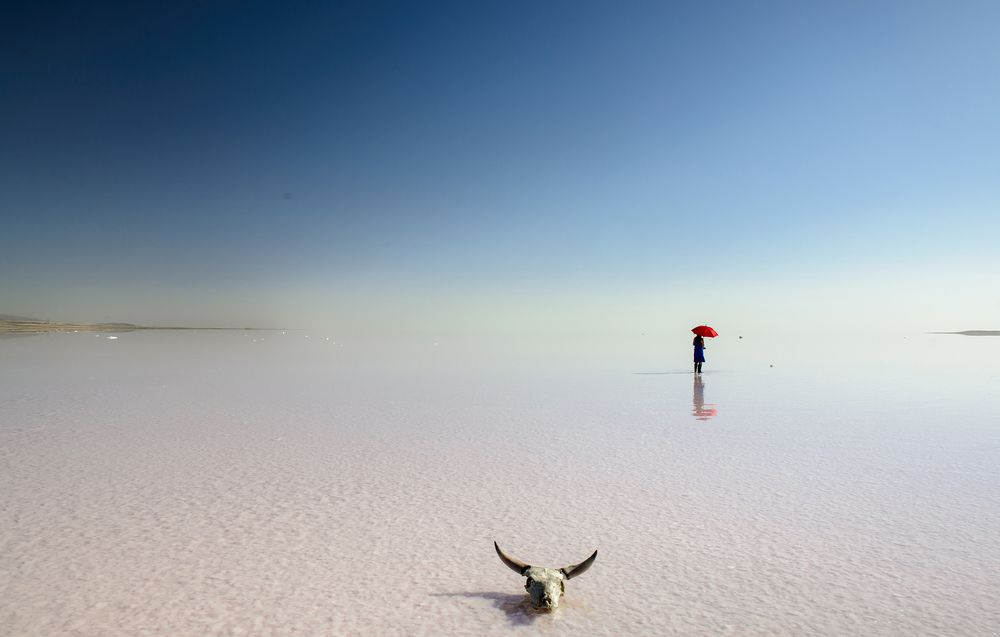 Фотография автора Erhan Kalkandelen