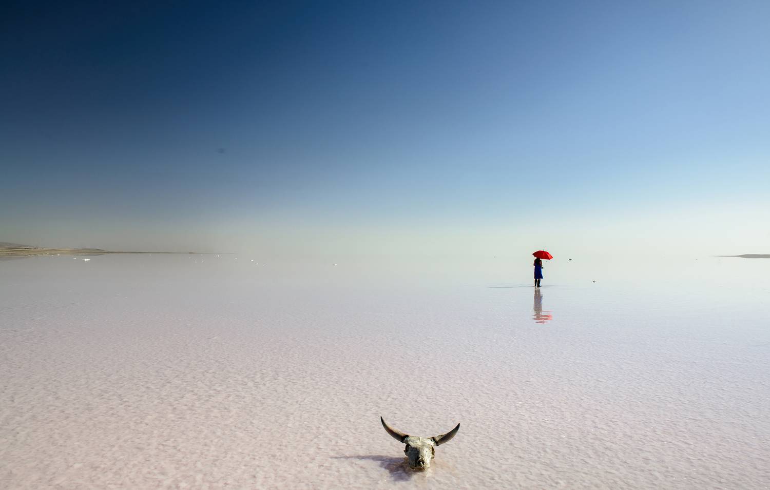 Фотография #12944722