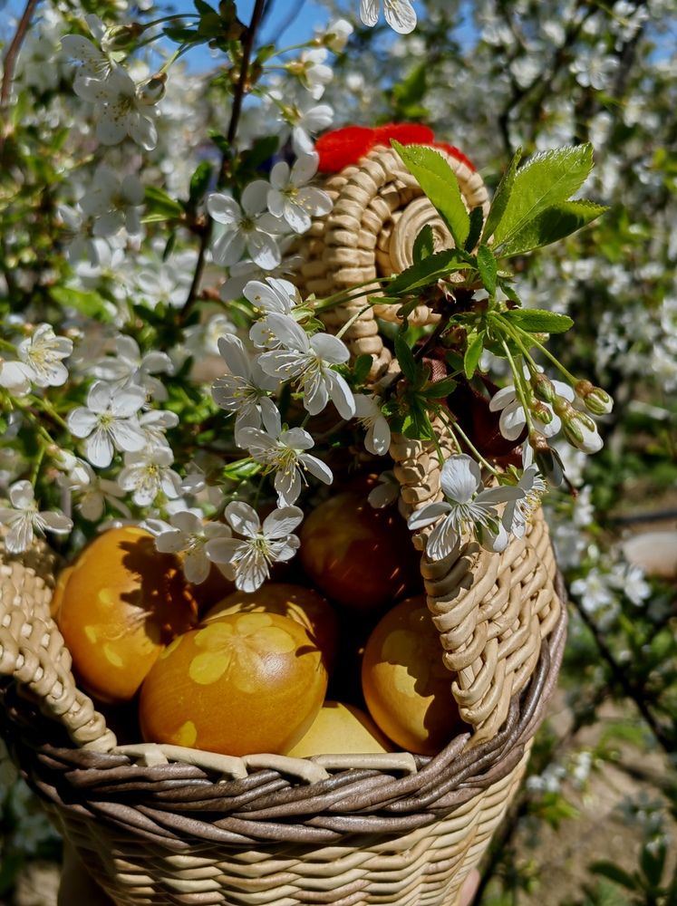 Photograph by Ульяна Кузьмина