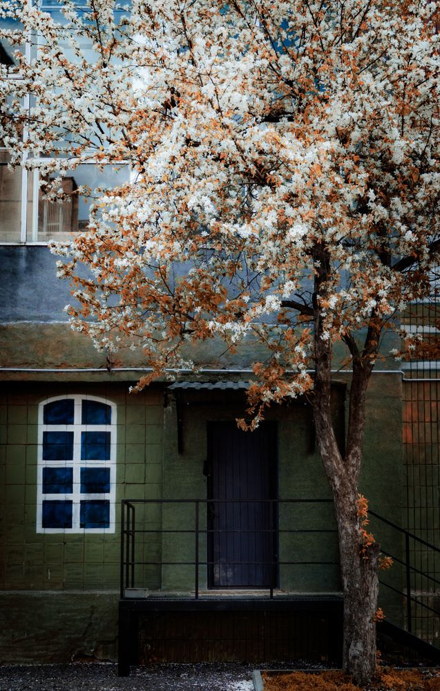 Фотография автора Геннадий Ломеко