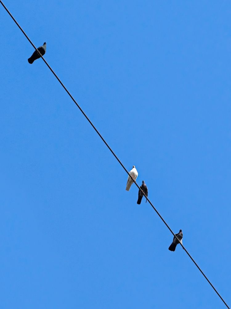 Photograph by Muhammed midlaj