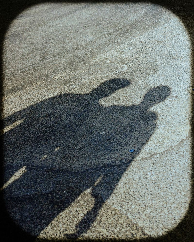 Photograph by Muhammed midlaj