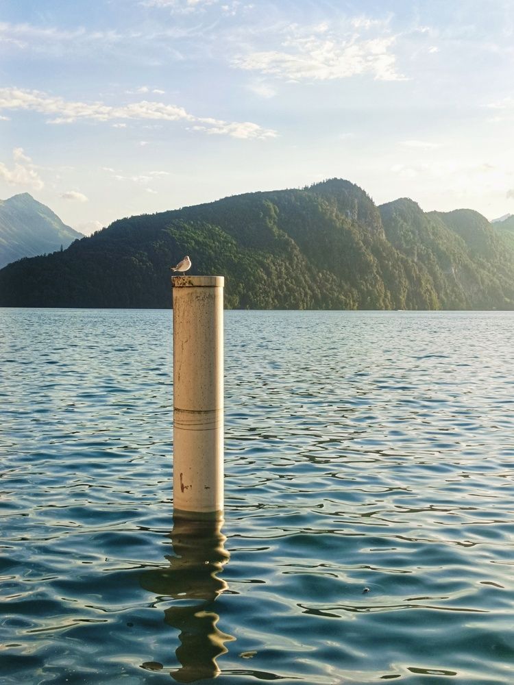 Photograph by Наталия Дроздова