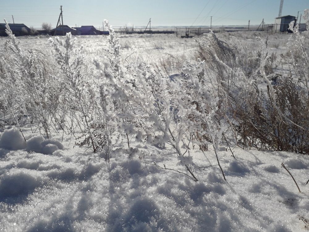 Photograph by Айгуль