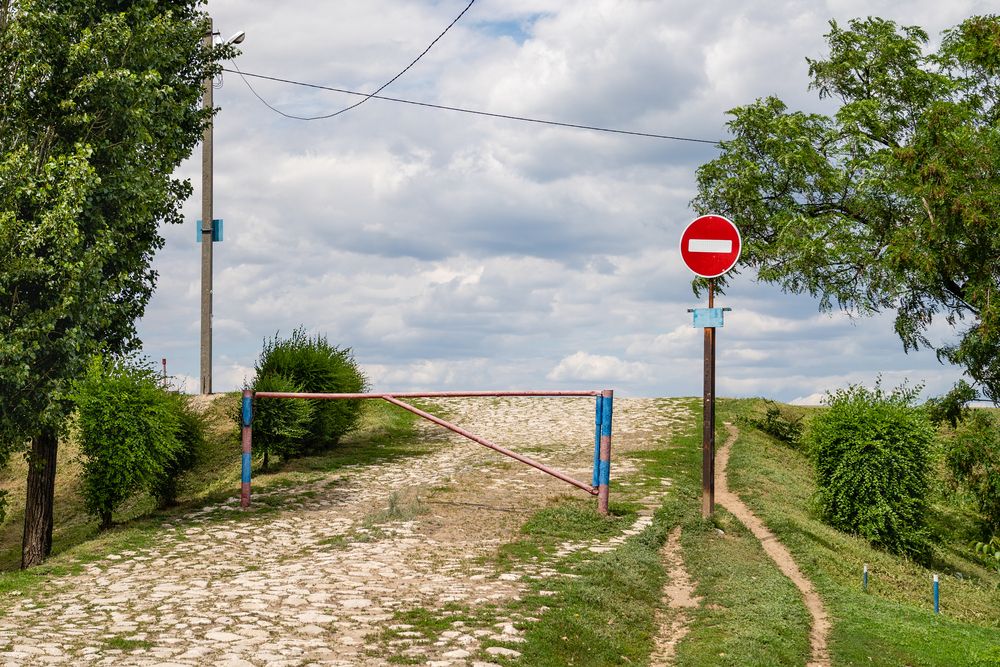 Photograph by Владимир Рогулькин