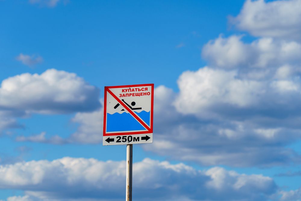 Photograph by Владимир Рогулькин