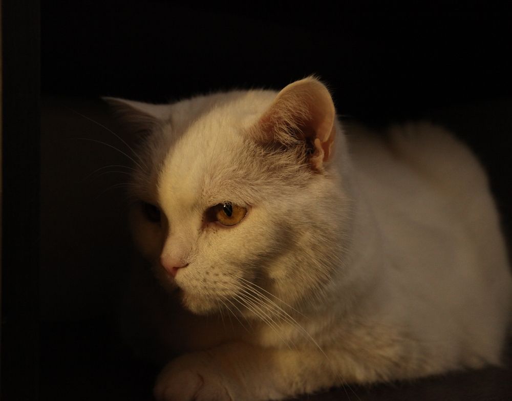 Photograph by Загуменнов Максим