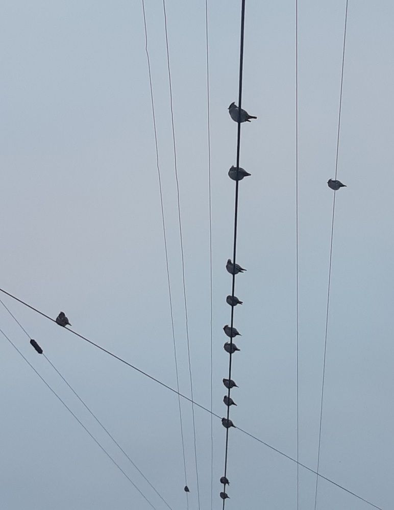Photograph by Надежда Аксенова