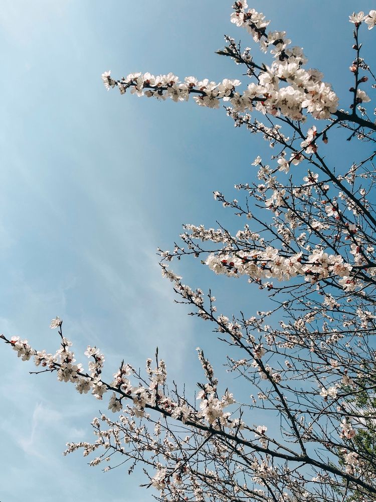 Photograph by Евгения Белякова