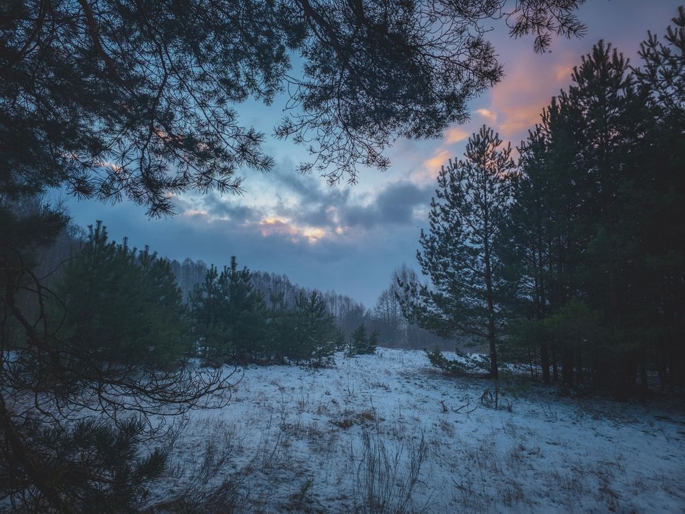 Photograph by Кирилл Сидоров